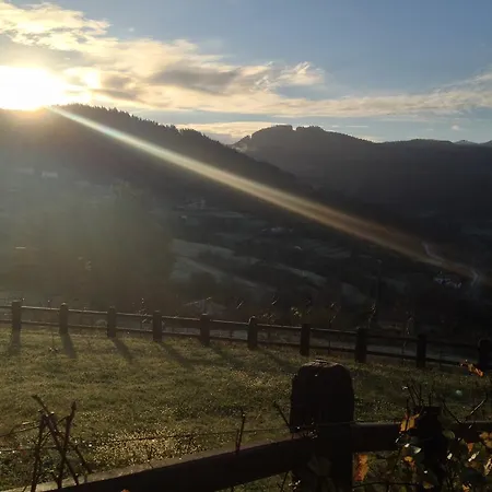 Ellauri - Adults Only