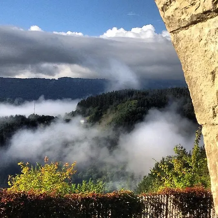 Ellauri - Adults Only 2*