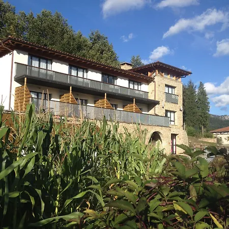 Otel Ellauri - Adults Only 2*