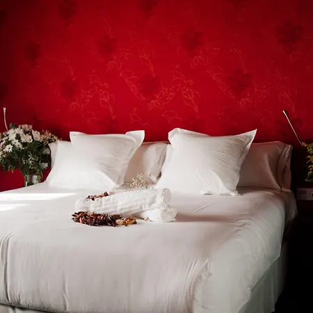 Ellauri - Adults Only 2*