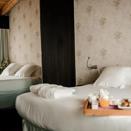 Hotel Ellauri - Adults Only Zeanuri